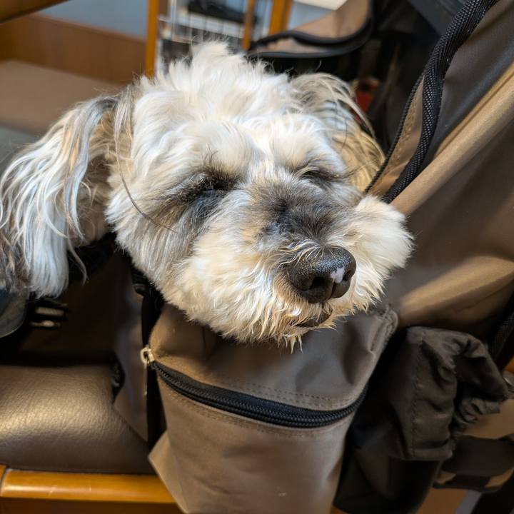 D524436a 7699 4fc6 b0ad 8326dcfe8537 1749873041776