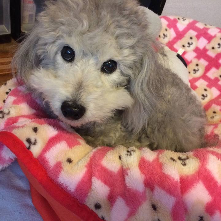 D5247f2a 5084 475e 9b18 19eba9e06942 1518737641742