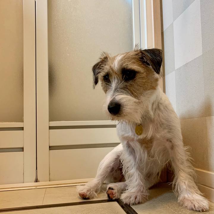 D5248838 493f 44df 8310 bf31d291c8f9 1601178211901