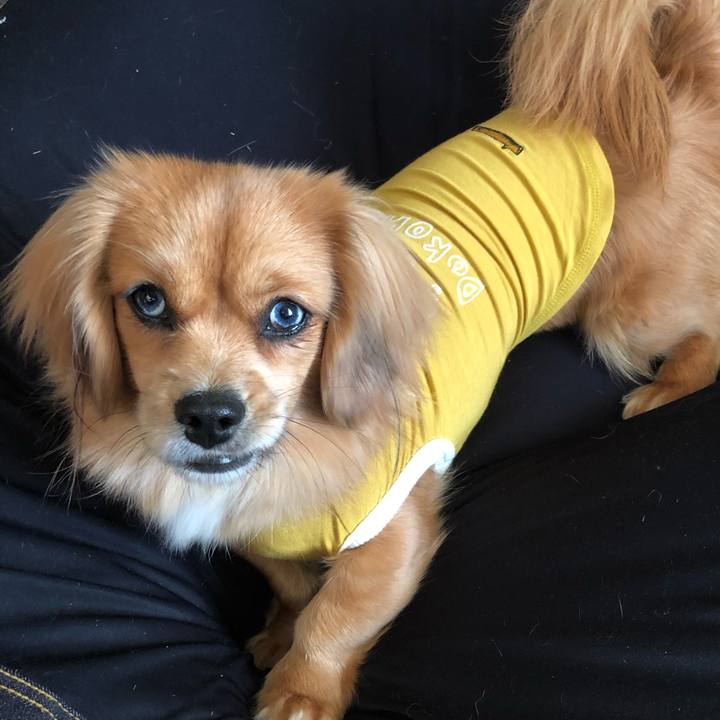 D524cdfe 7059 422f 9cbf e3813c75a1f1 1514593055314