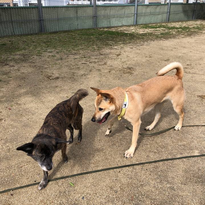 D524e322 b3eb 4856 91a4 ccb744257f4b 1580648161591