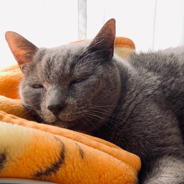 D524e5f8 4ad4 4731 a609 caf70f5fdfaf 1648693476289