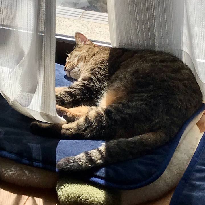 D524f909 3a29 4cd6 a5a5 f3f2eab62863 1615801921516