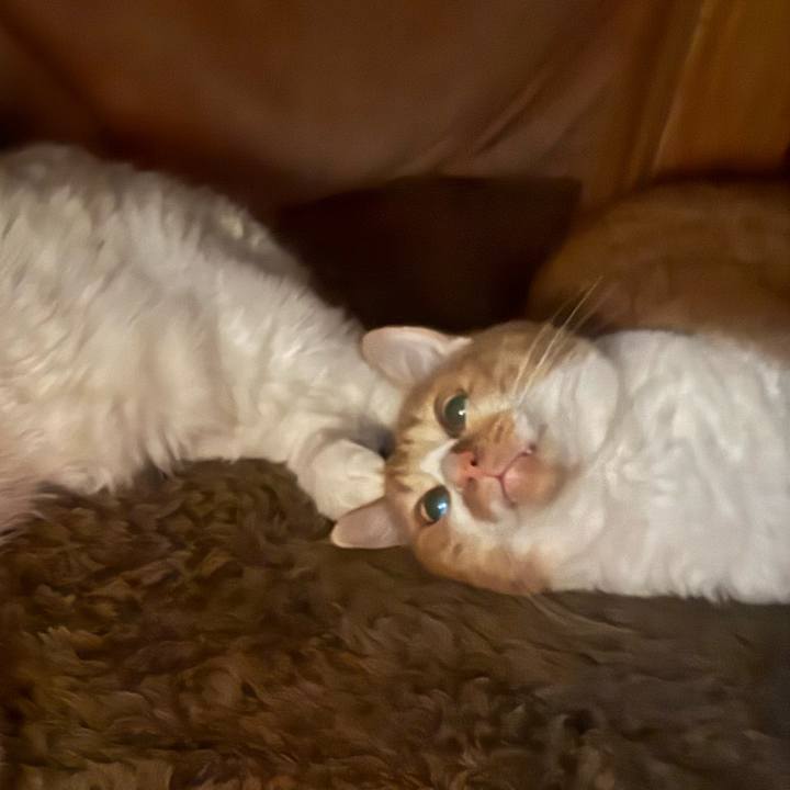 D525269d af8b 4e83 9179 53da3ffe8d04 1765542735692