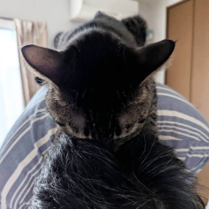 D5255896 0a79 446b 849b f63c66fdd196 1748243537400