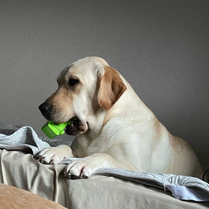 D5256a9f 7c31 4659 bd03 bb5ee5b55892 1658438383710