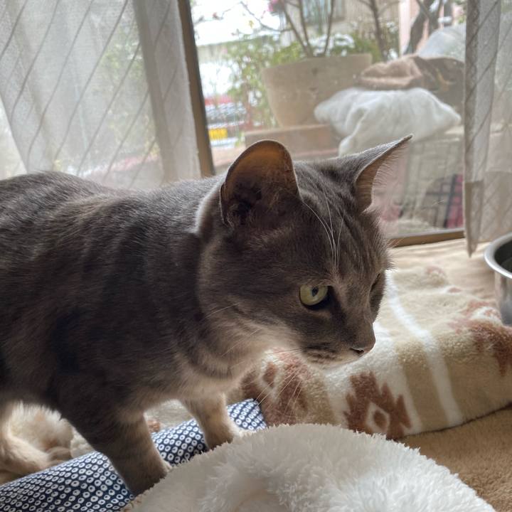 D5259915 497f 404a 85f4 1899008799a3 1585478579559