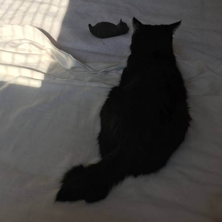 D525a29a 648a 4d9c 9c36 5a86f18d2087 1562451642299