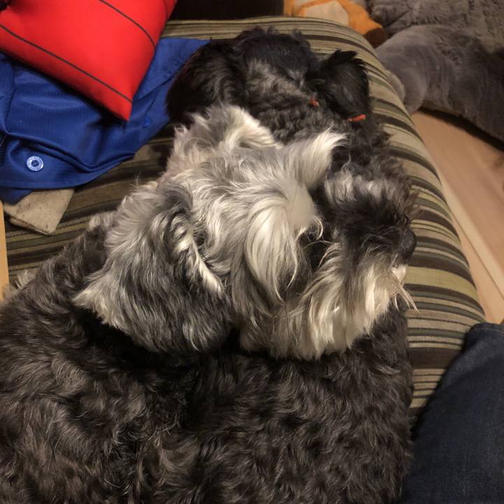 D525a8e4 bd37 473d a888 ae352b44a030 1562941793239