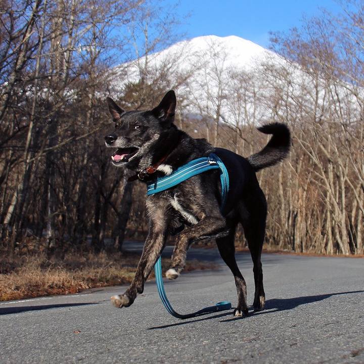 D525cff0 bfee 4823 9b40 197c34741fe0 1669936500064