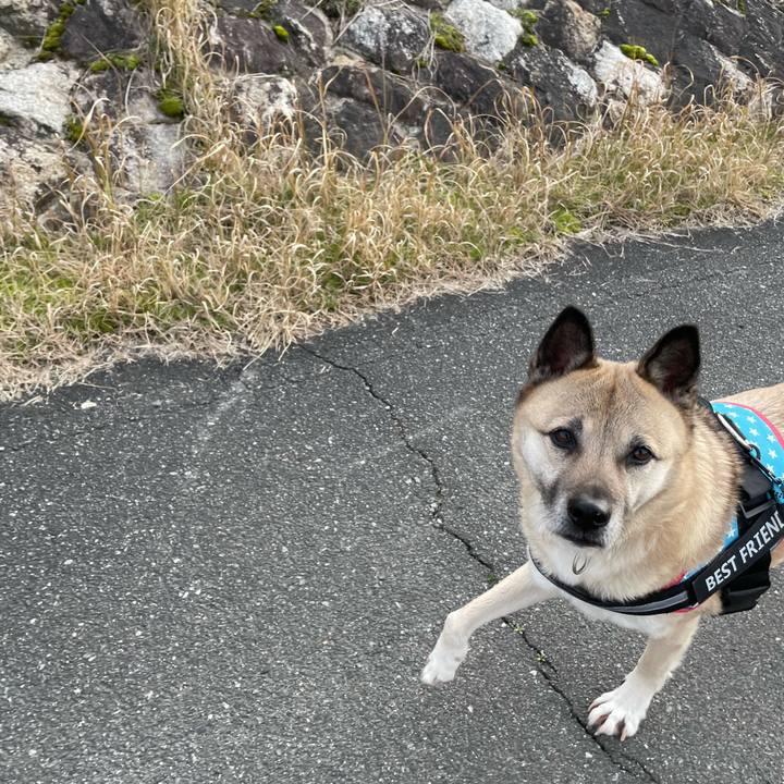 D525e991 2aa0 404c 8702 2cc8bcbe3652 1708760758799