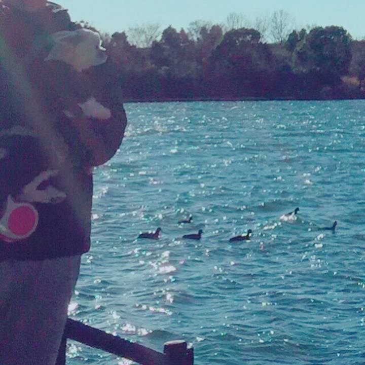 D525efcf 4046 4581 a577 f07c9924487c 1546162078187