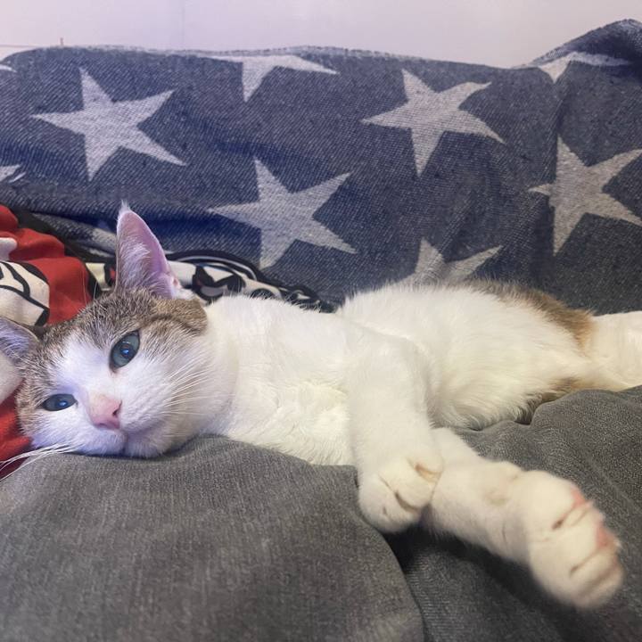 D525f0ec 432b 4557 98d2 3b6b97a78300 1634392201497