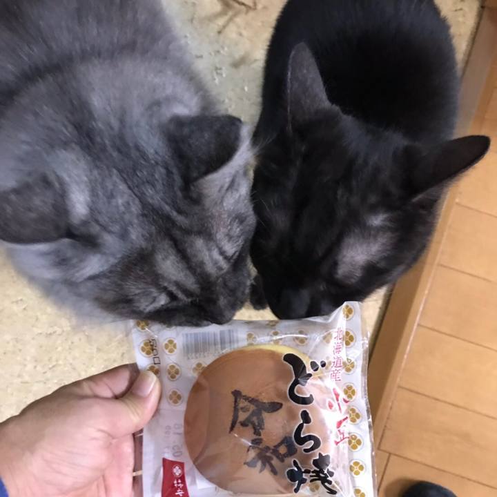 D525fac5 72b8 4a66 ae70 d3005fabf43f 1556672945398