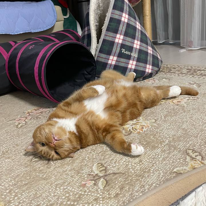 D5260ef6 0e78 4e0d 8454 09fa67ebd04e 1755956328325