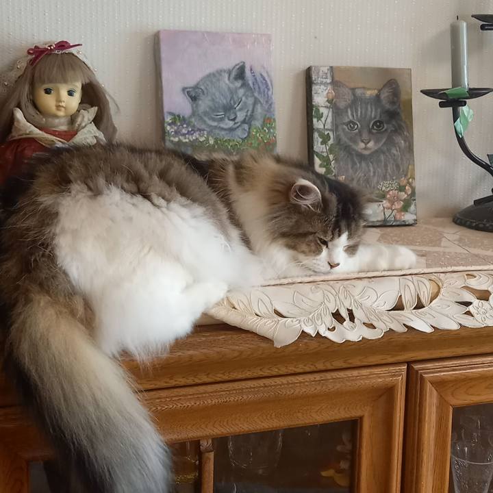 D52634a2 2679 4a0b 9705 5bc7ec7b8167 1685182813952