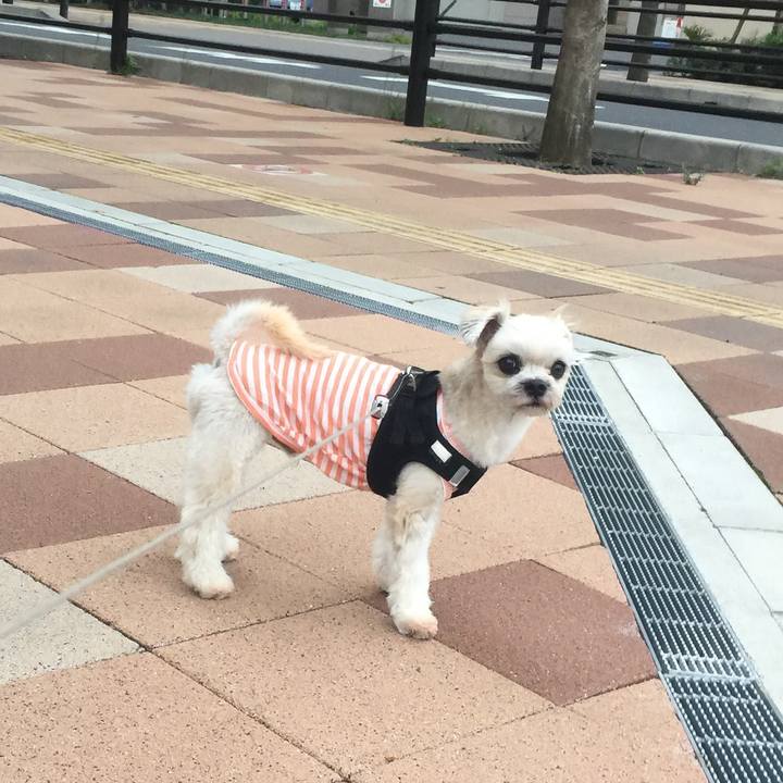 D526803f 9b7b 419e bde4 b7a1092ba8ee 1538652467162