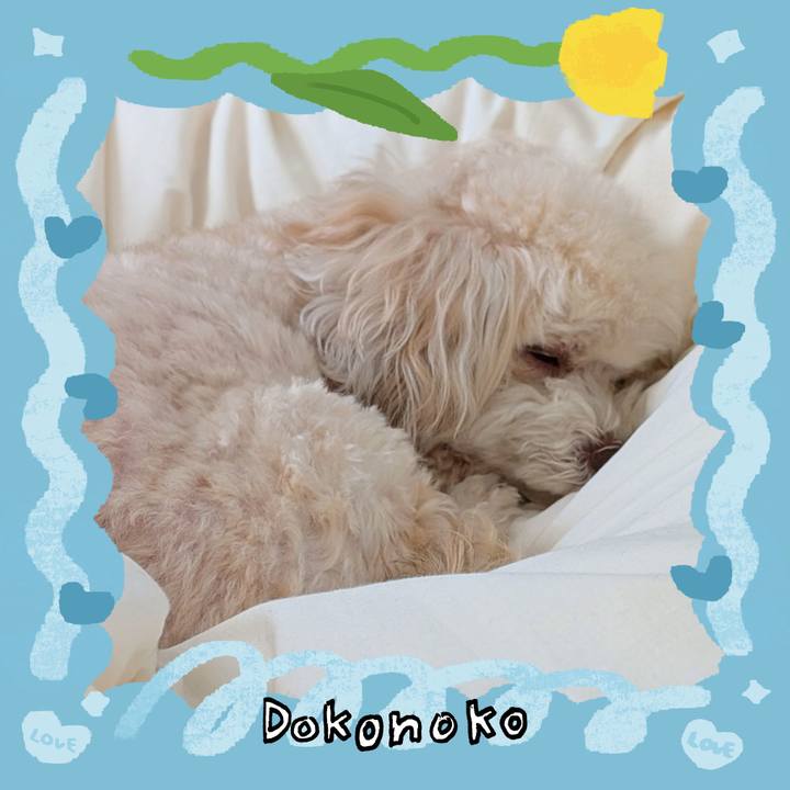 D5269862 aab3 4005 a0d0 f7551d766cce 1772369315926