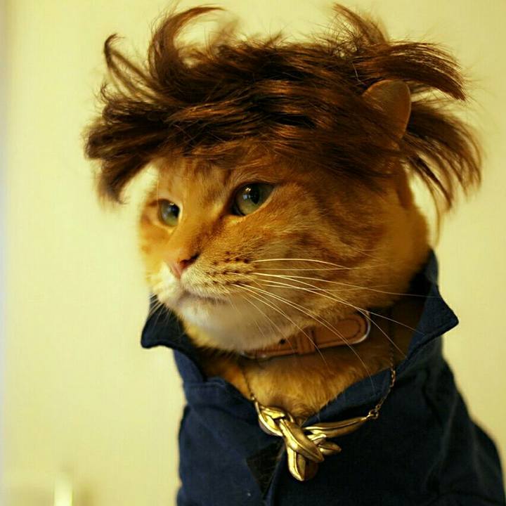 D526c2c4 030c 4e73 b490 d58deb74fe41 1515856088311