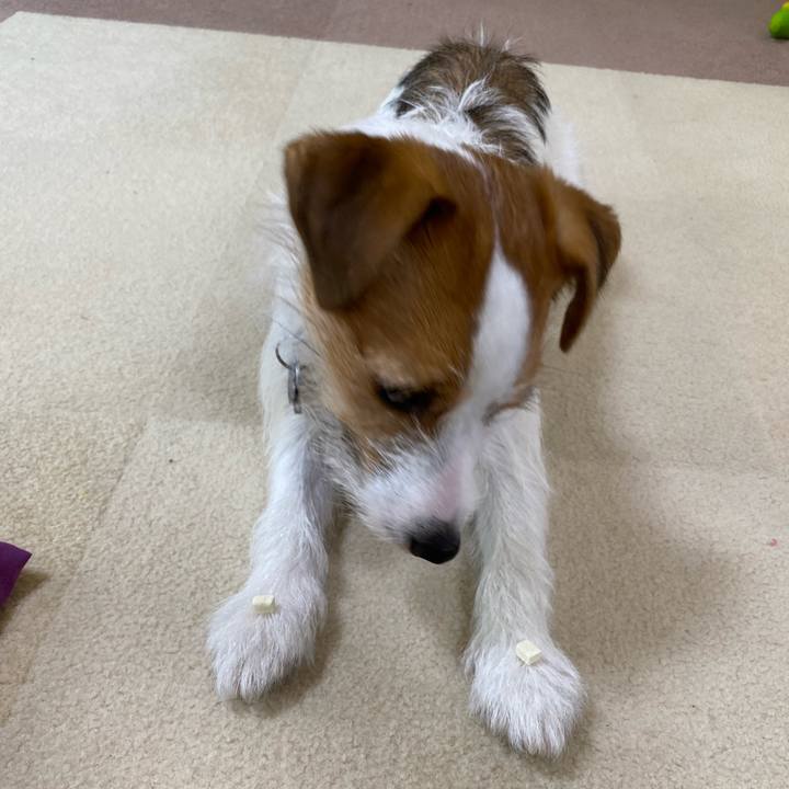 D526c736 ea28 4465 8a93 45c3907568b6 1656160042420