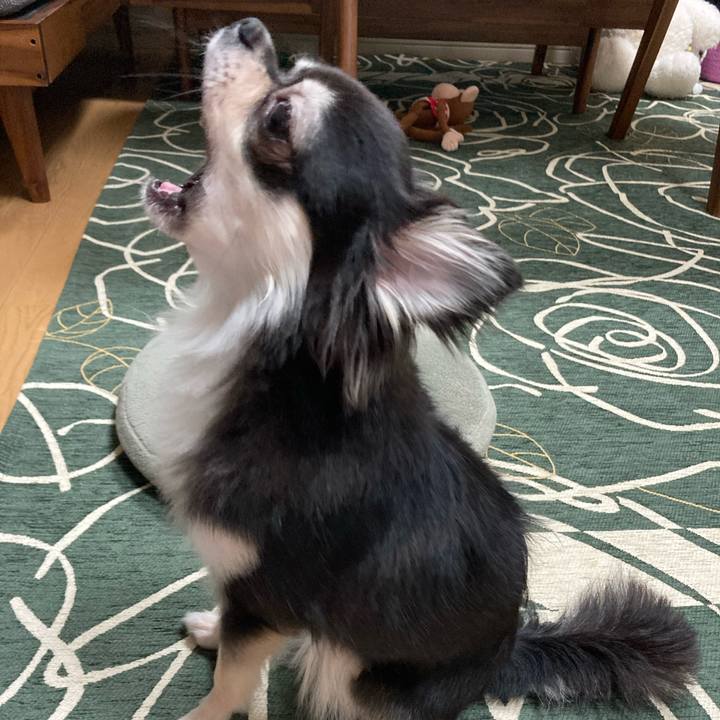 D526cd58 2df3 4363 95c8 c761b289ee99 1632664518852