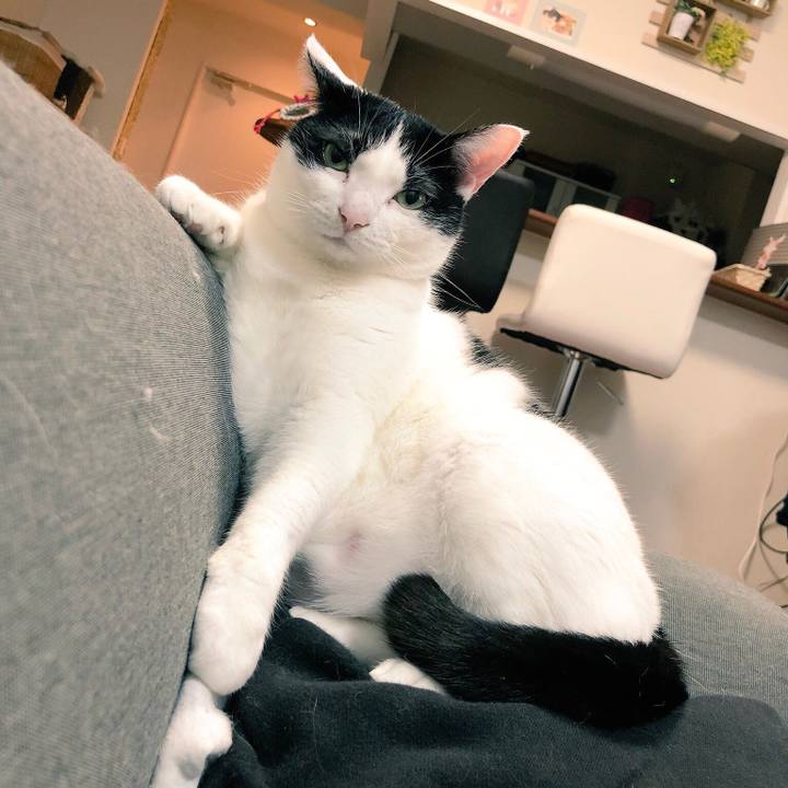 D526f573 6501 416f 9d47 ba0431b79c1e 1524728293525