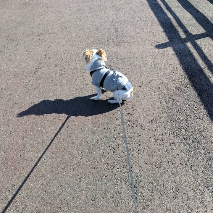 D526f68d c815 4596 ae11 77700789e71a 1614496133665