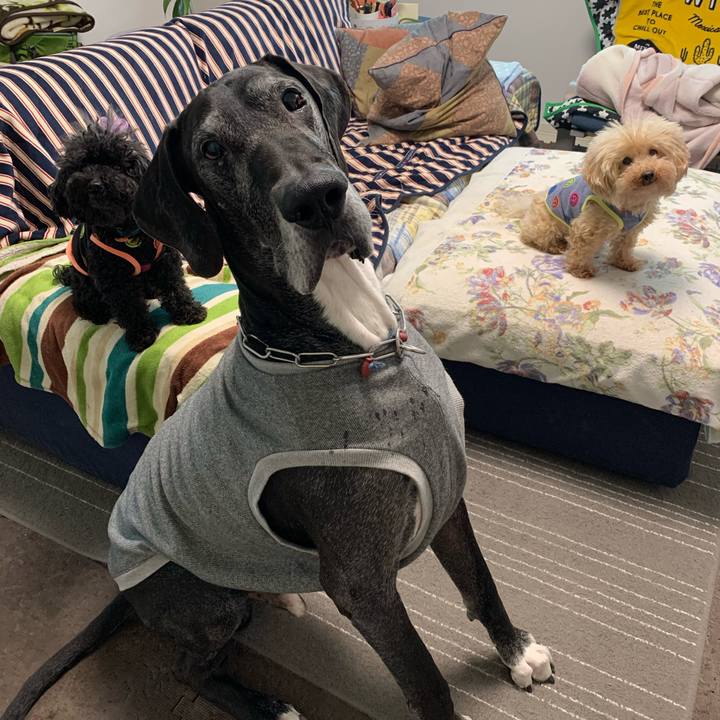 D5270400 0643 4f9f 8b7d f1d9fc5f524f 1586731184555