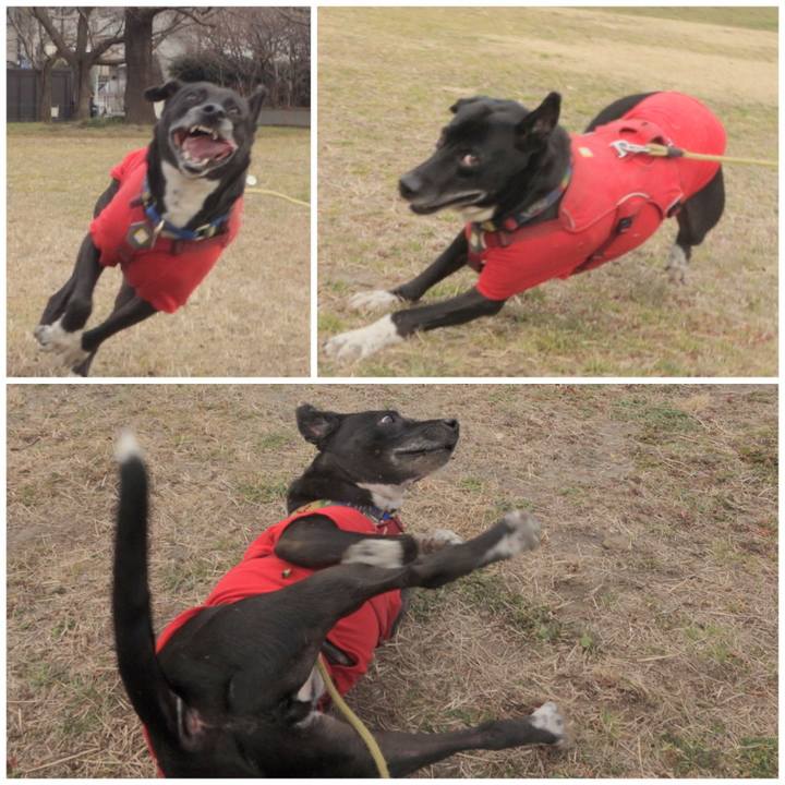 D5271ab9 35ba 4ba7 88e2 07d46392299a 1675388080330