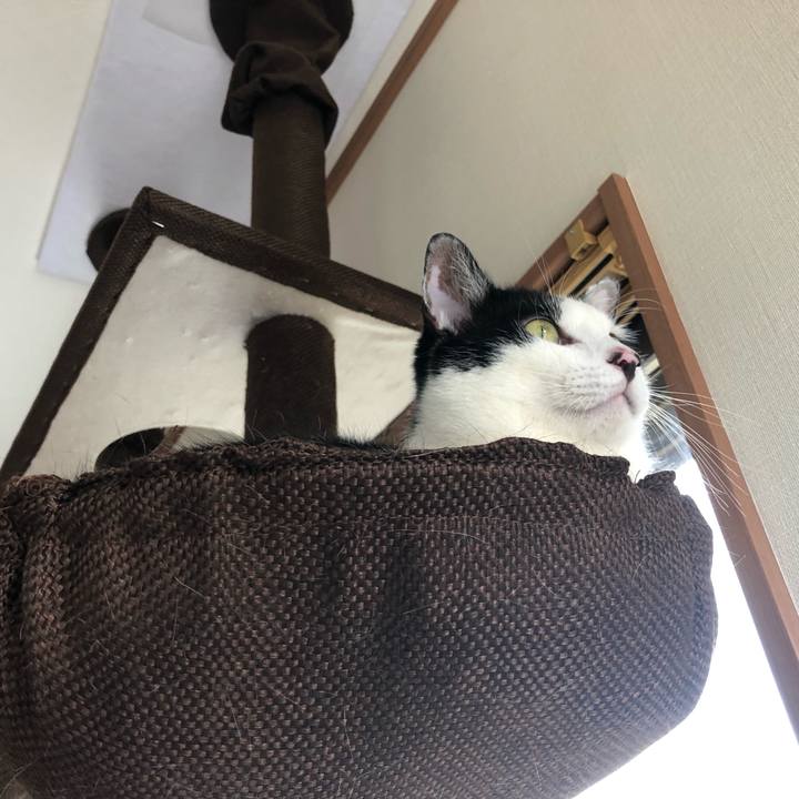 D5272397 eef4 47b6 a2f9 e3db34177de8 1557365278406