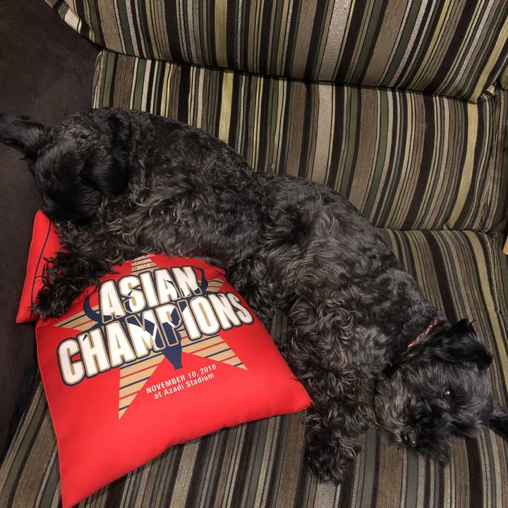 D527470b 156c 4b42 98c8 429a50b498d6 1582724417654