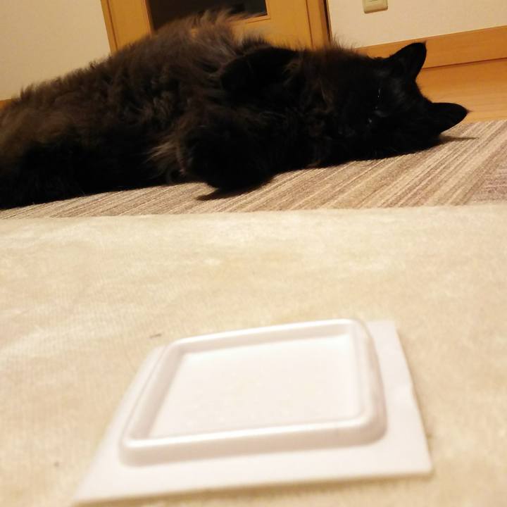 D5275112 9a89 4705 a9b1 2906a52d4a8f 1519913848860