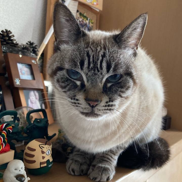 D527617f d878 4b44 afc1 e4b32d783bb8 1771661344978