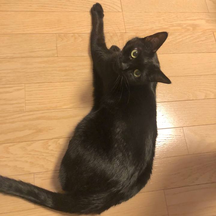 D5277505 68b7 4f5e 8bc4 f6ad1919e0e7 1544363229582