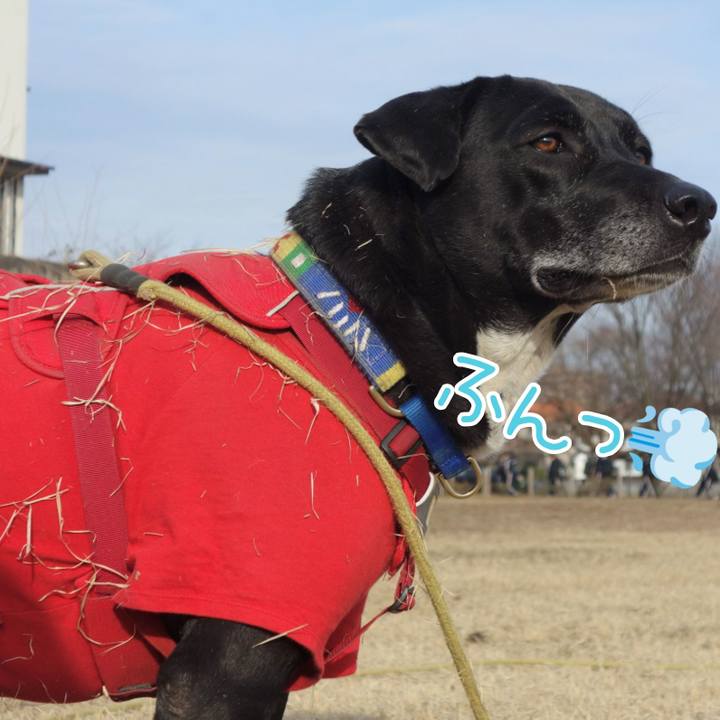 D527b905 472c 41cd bc25 3df847003f62 1675733019732