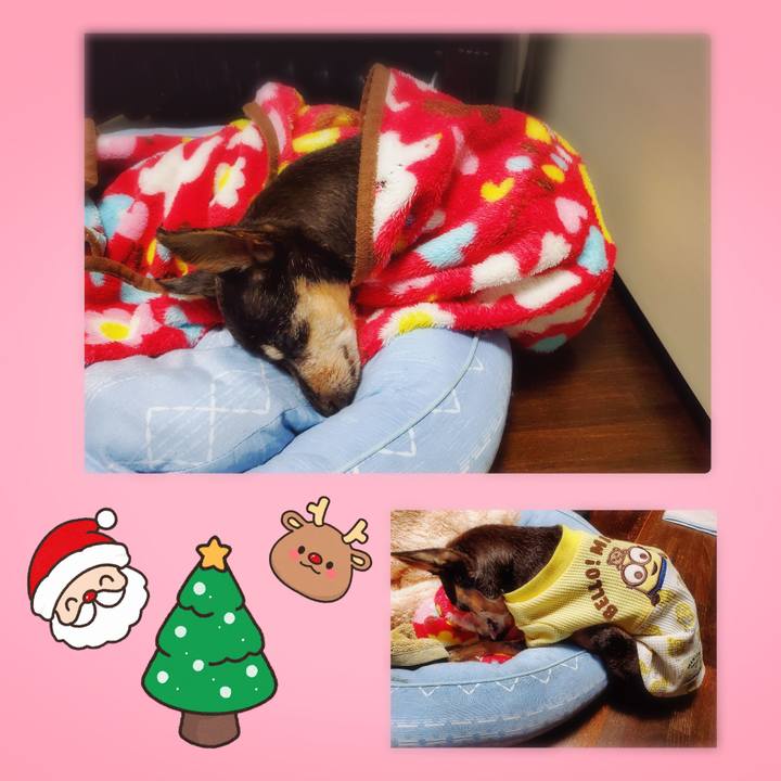 D527c792 5a97 47b0 b5a1 b5255b9cc922 1735045171581