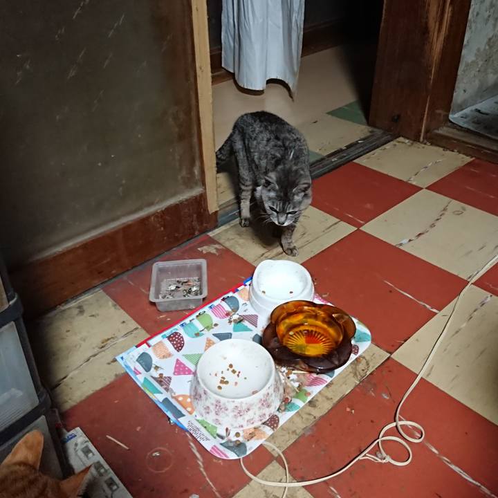 D527f4fe c7da 4d71 a05c 1b2e5860cc28 1591989384777