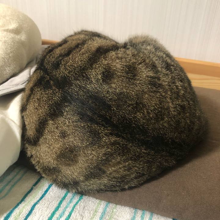 D527fe2d af7d 48e3 baa7 9ccaecbf3846 1568438257783