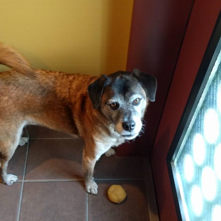 D5280ebf cd4c 4a80 a0c8 29b79dda74f3 1510361445439