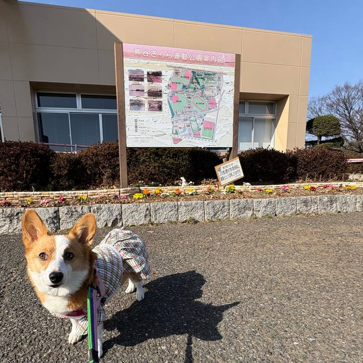 D52817eb ee2f 474a aad1 3adbe53cde5a 1772346678947