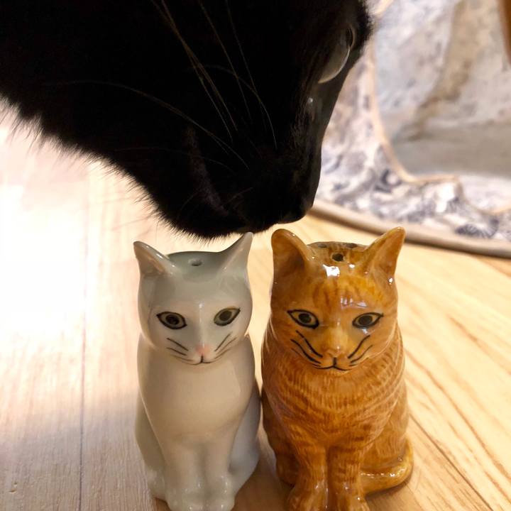 D528b868 bf9c 4557 b779 53f09a1b2a56 1530637126169