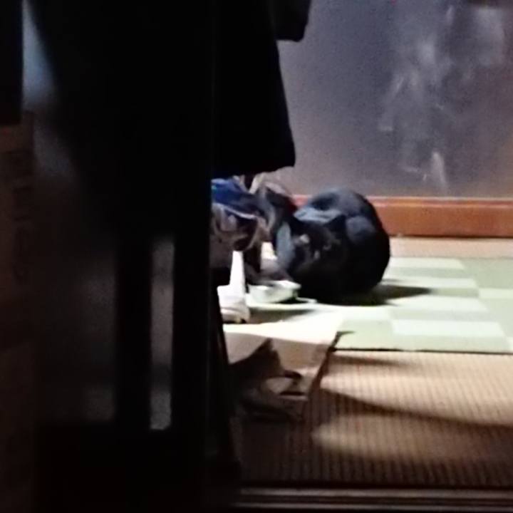 D528ce46 9e91 4714 b785 82fff63fd668 1613295002873