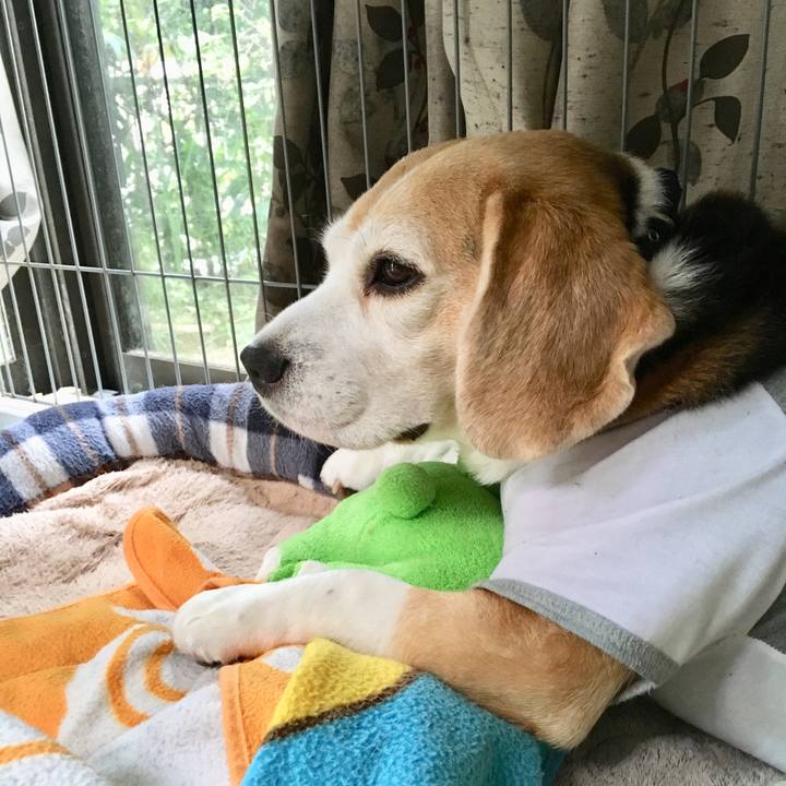 D528fd97 df46 47bf ac17 7822509b236c 1507946968994