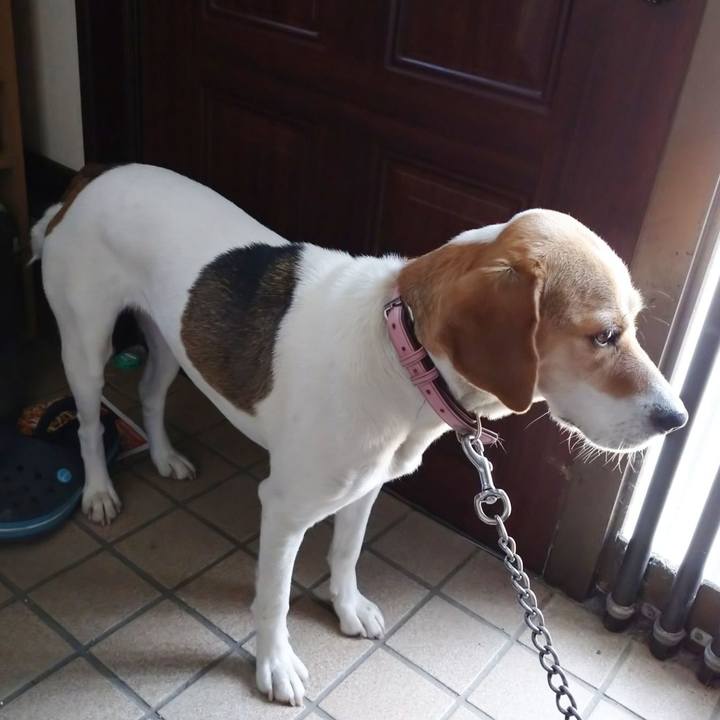 D5293809 c48c 4587 b86f 1f37036f3d14 1591234438332