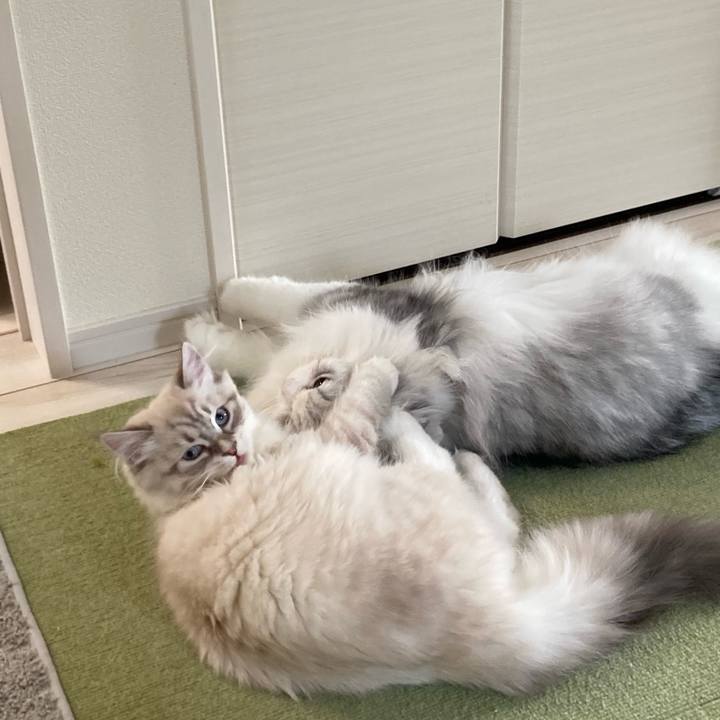 D529480b 98d6 4c6a b026 c4c9ea501938 1676196295331