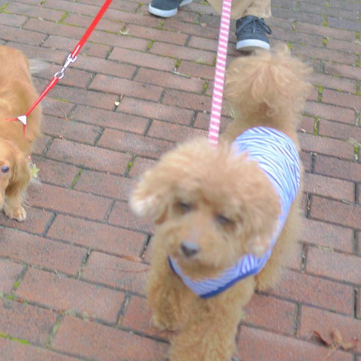 D529987d 5f72 483e 9fb6 94e0b4c1de00 1539186279043