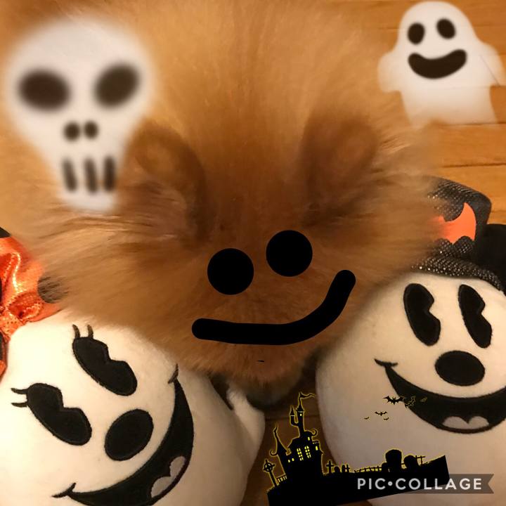 D529ce83 235a 459f 8a6d 981f926d409b 1509395069511