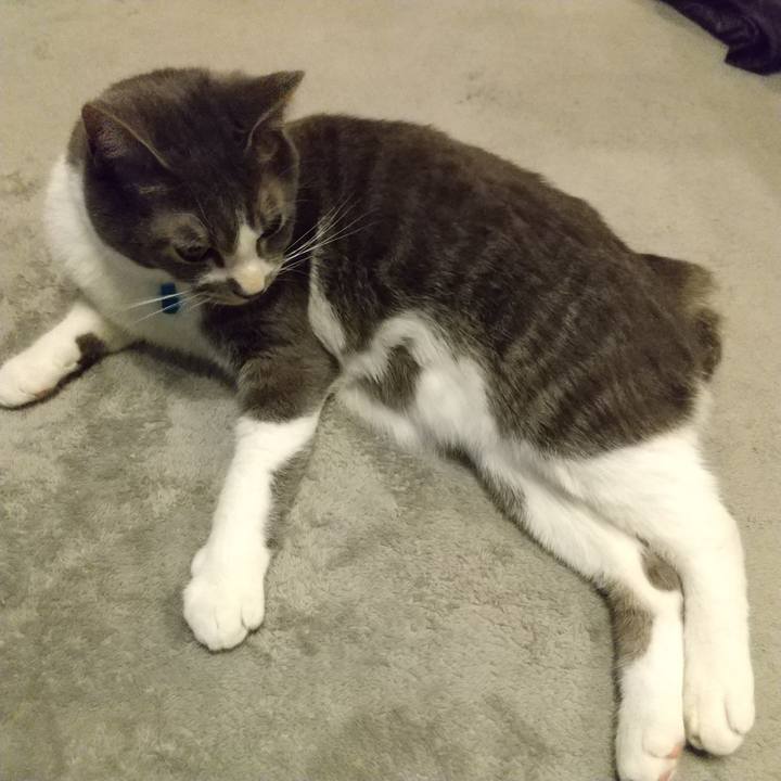 D529e277 bad5 4d32 9770 c9beda575dab 1611836059205