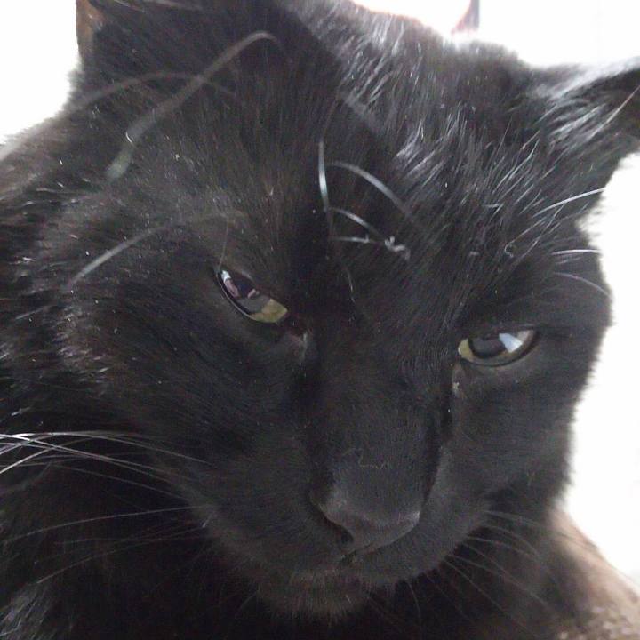 D52a6d81 c858 4762 a1b9 dfb045a77172 1522886770507