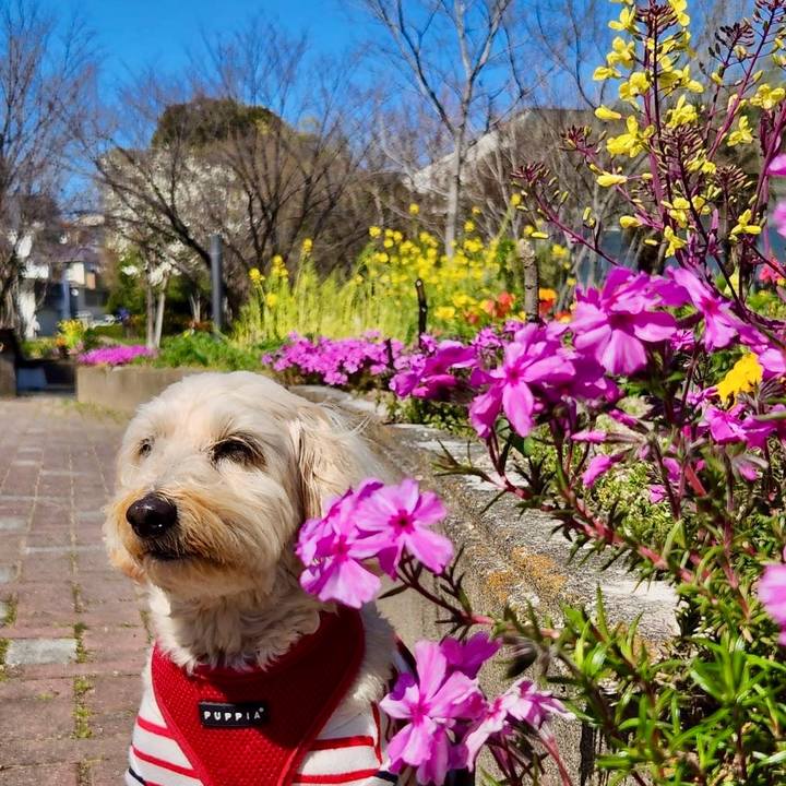 D52a7586 2de1 4d90 a430 315e1fb61967 1774686144194